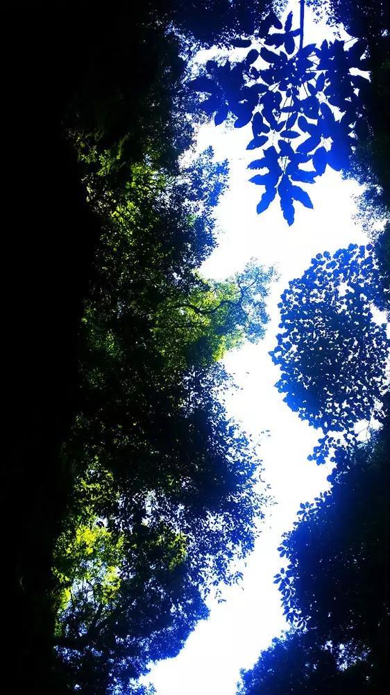 扶摇：战北野得知雅兰珠眼睛的事一直守在门口但是雅兰珠为何不愿意见他呢？游戏画面
