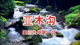 召唤神龙万宁版祖龙