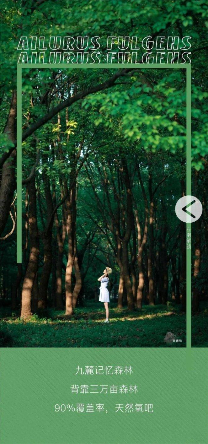发小的模样，都“富态”了，但巷子里的烧烤摊，还是那么朴实