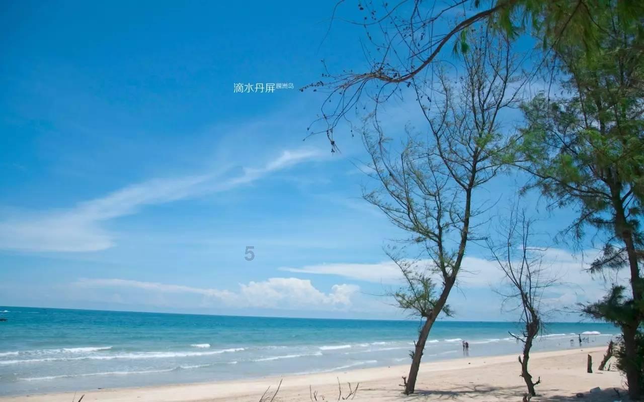 救援花栗鼠