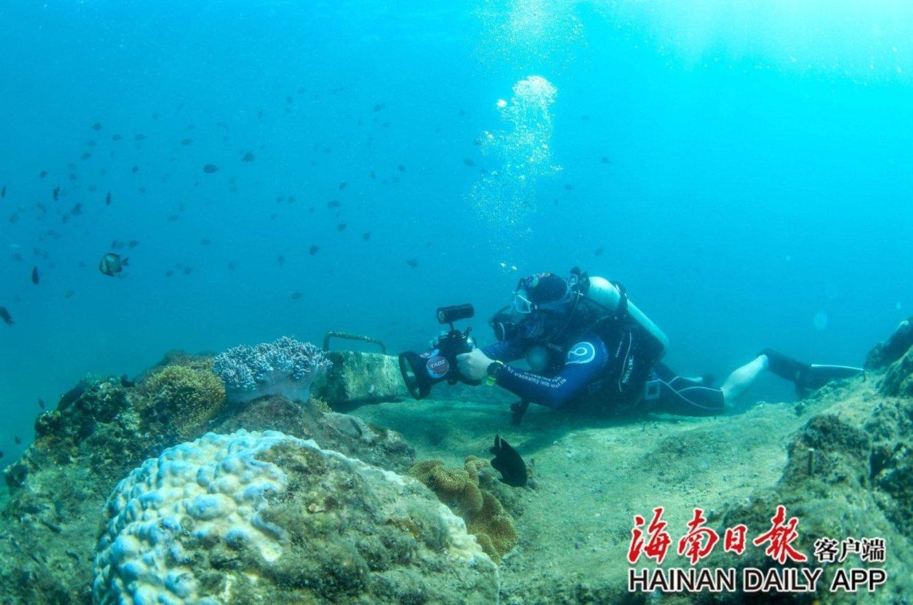 种养循环让小庭院变成“聚宝盆”
