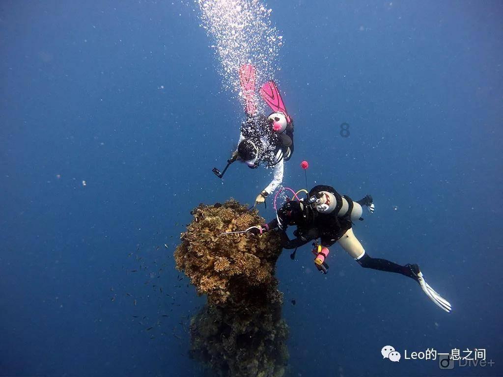 海盗寻宝记