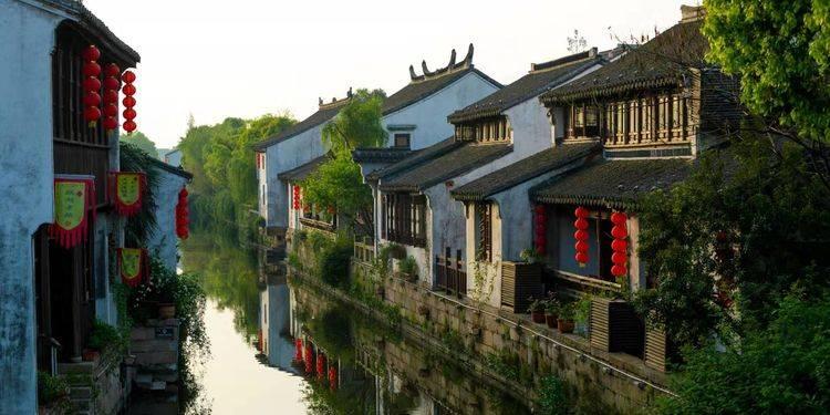 牢牢守住耕地红线!高州市荷花镇牛蛙养殖场完成清退整改