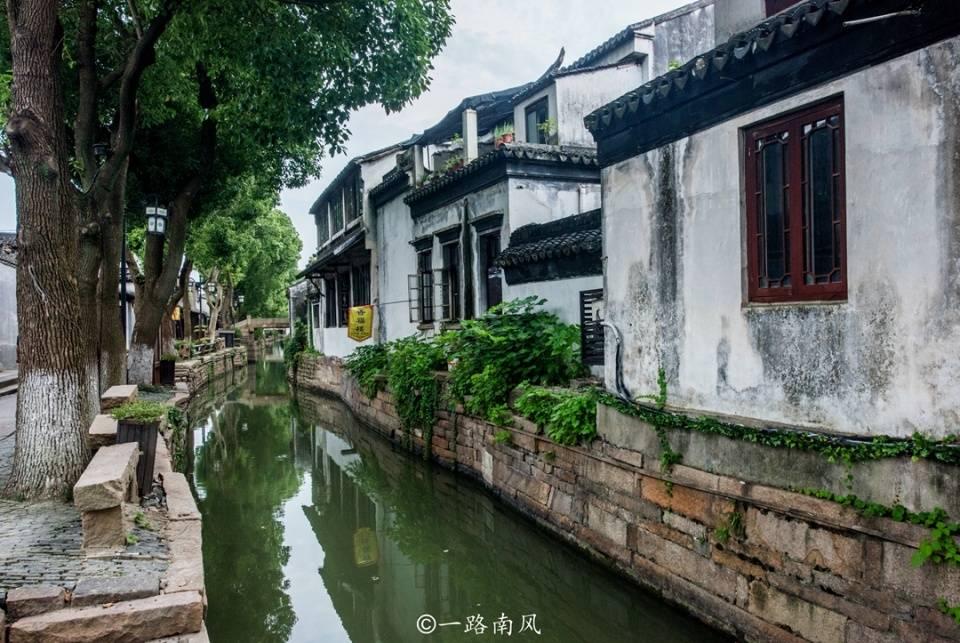 太突然！淮安闭店！网红茶饮大规模关店....